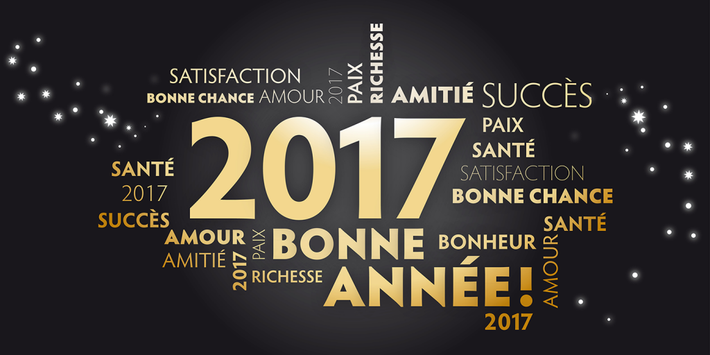 2017_bonne-annee_franc%cc%a7ais-noir